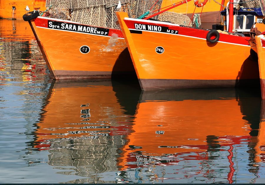 Puerto de Mar del Plata