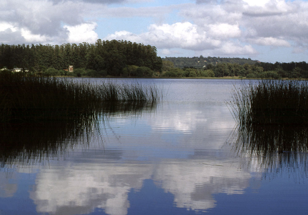 Laguna de los Padres