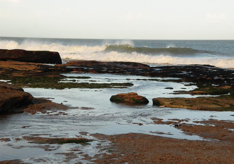 Playas del Sur