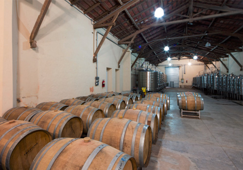 Bodega TRAPICHE Costa & Pampa